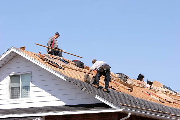 Best Metal Roofing Installation  in Dunbar, SC